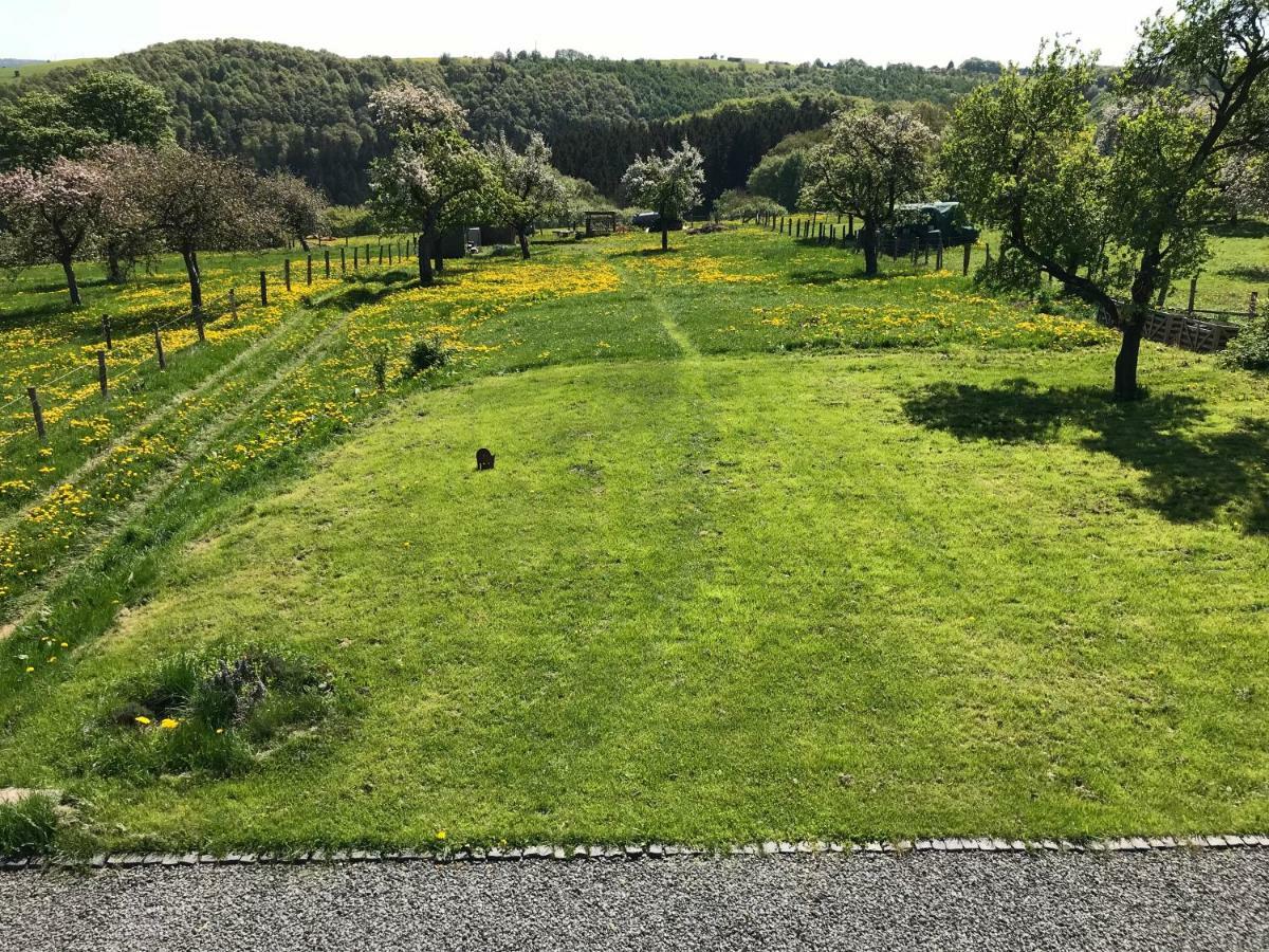 Ferienhaus Am Nationalpark Morsbach  ภายนอก รูปภาพ
